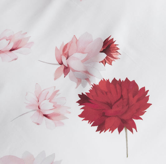 Dahlia- Iron Free
